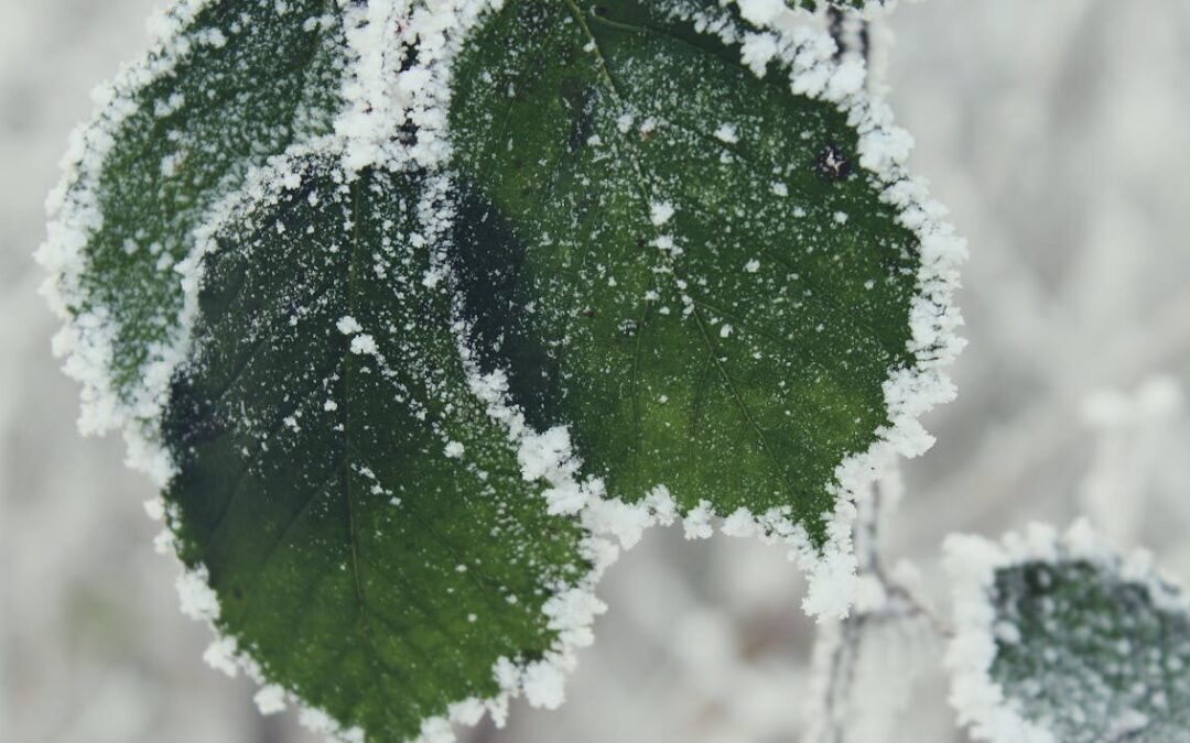 EMITEN ALERTA POR DISMINUCIÓN DE TEMPERATURAS EN TODO EL ESTADO