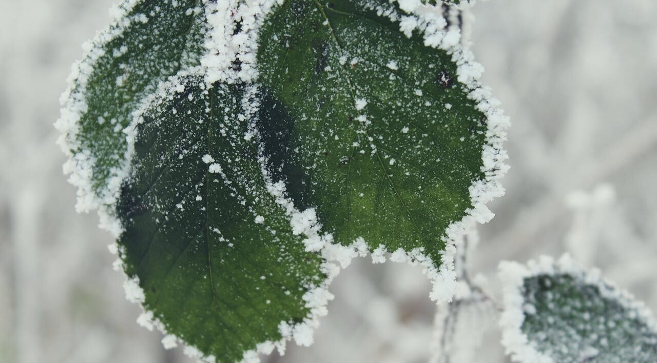 EMITEN ALERTA POR DISMINUCIÓN DE TEMPERATURAS EN TODO EL ESTADO