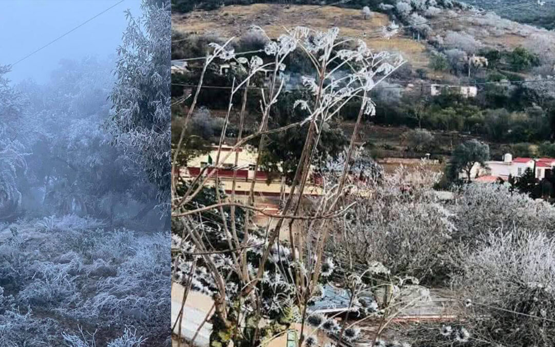 EMERGENCIA POR TEMPERATURAS CONGELANTES EN VARIAS ZONAS DE LA ENTIDAD