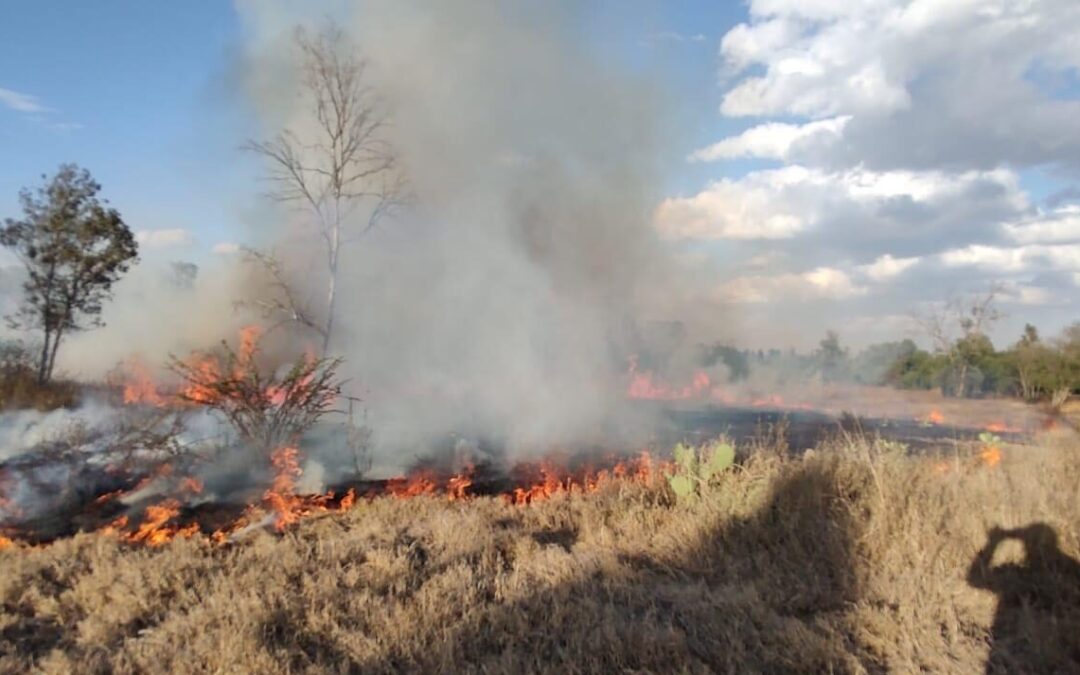 GENERAN PROPUESTA DE SANCIONAR A QUIENES PROVOQUEN INCENDIOS EN EL ESTADO