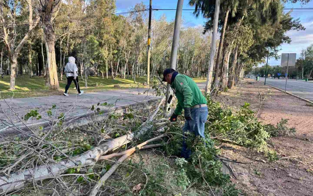 GOBIERNO DEL ESTADO ATIENDE AFECTACIONES EN LOS TANGAMANGA POR FUERTES VIENTOS5