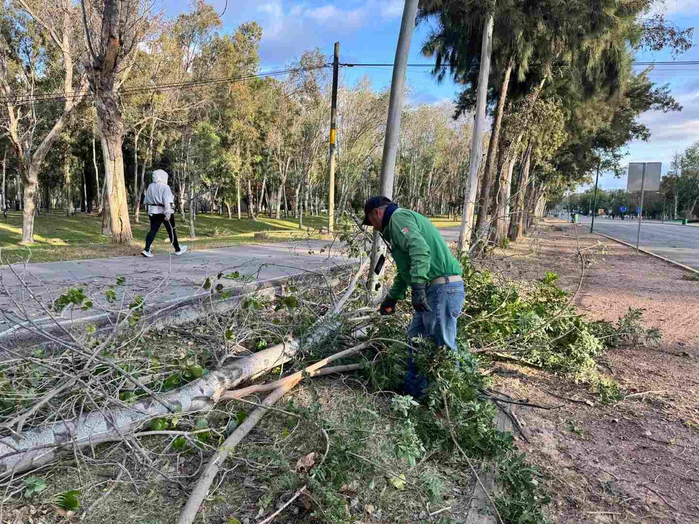 GOBIERNO DEL ESTADO ATIENDE AFECTACIONES EN LOS TANGAMANGA POR FUERTES VIENTOS5