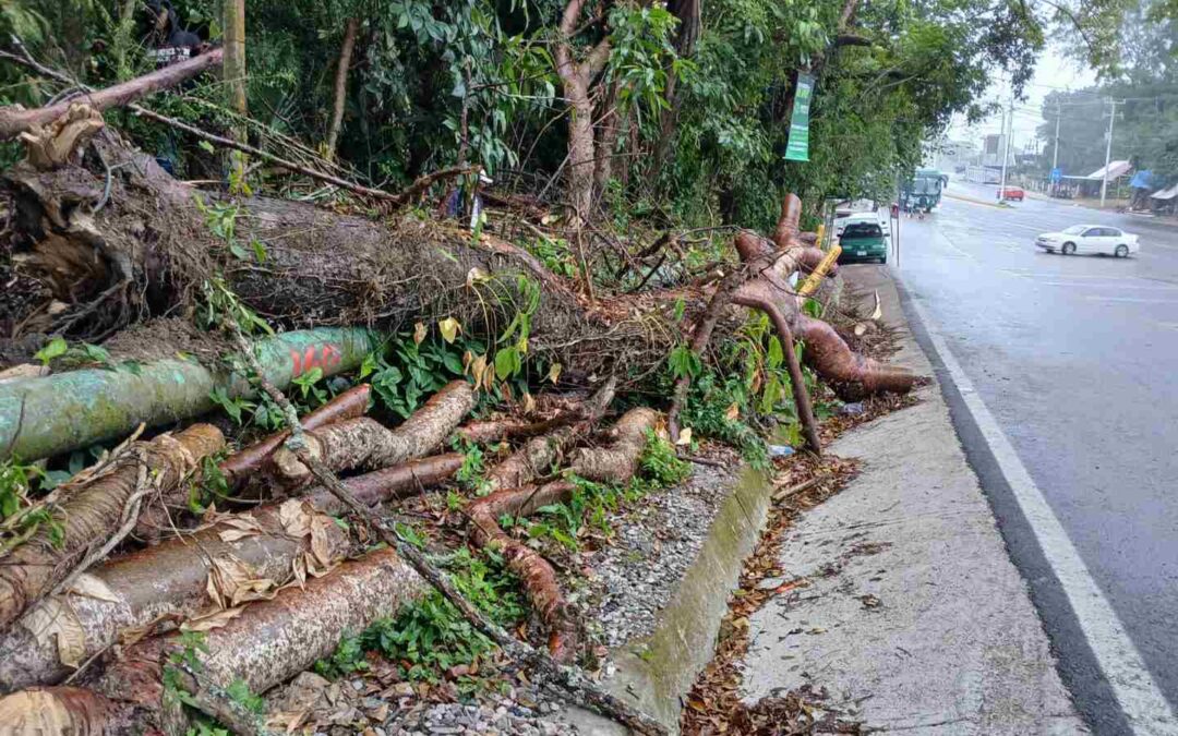 GOBIERNO ESTATAL ATIENDE CAMINOS AFECTADOS POR LLUVIAS EN LA HUASTECA