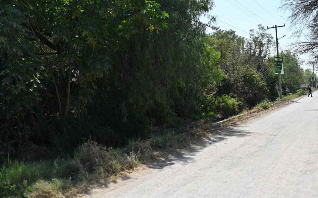 INICIA PAVIMENTACIÓN DE AVENIDA REFORMA AGRARIA EN SOLEDAD