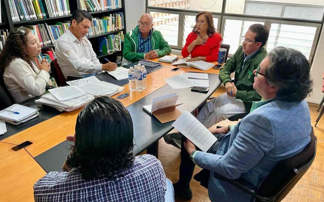 DARÁN SEGUIMIENTO A ACCIONES IMPLEMENTADAS TRAS UN SOBREVUELO EN EL SÓTANO DE LAS GOLONDRINAS