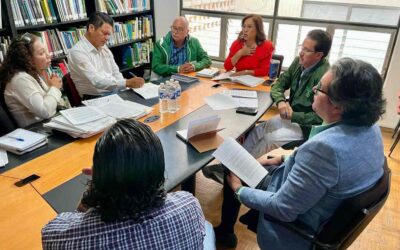 DARÁN SEGUIMIENTO A ACCIONES IMPLEMENTADAS TRAS UN SOBREVUELO EN EL SÓTANO DE LAS GOLONDRINAS