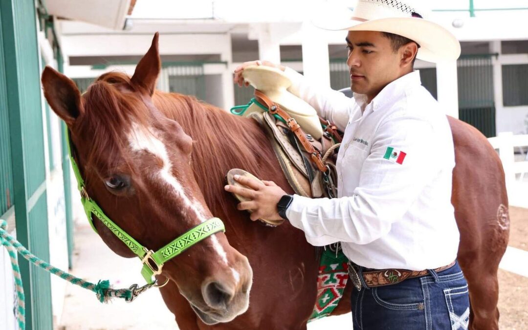 BUSCARÁN LOGRAR LA CERTIFICACIÓN DE EQUINOTERAPIA DEL ESTADO