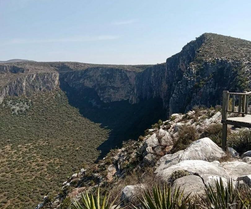 REALIZAN LIMPIEZA DEL ÁREA NATURAL PROTEGIDA JOYA HONDA