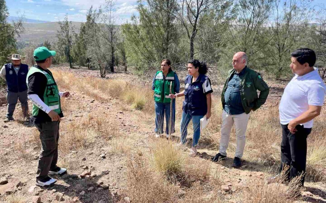ARRANCARÁN PROGRAMA SEMBRANDO VIDA EN SIERRA DE SAN MIGUELITO