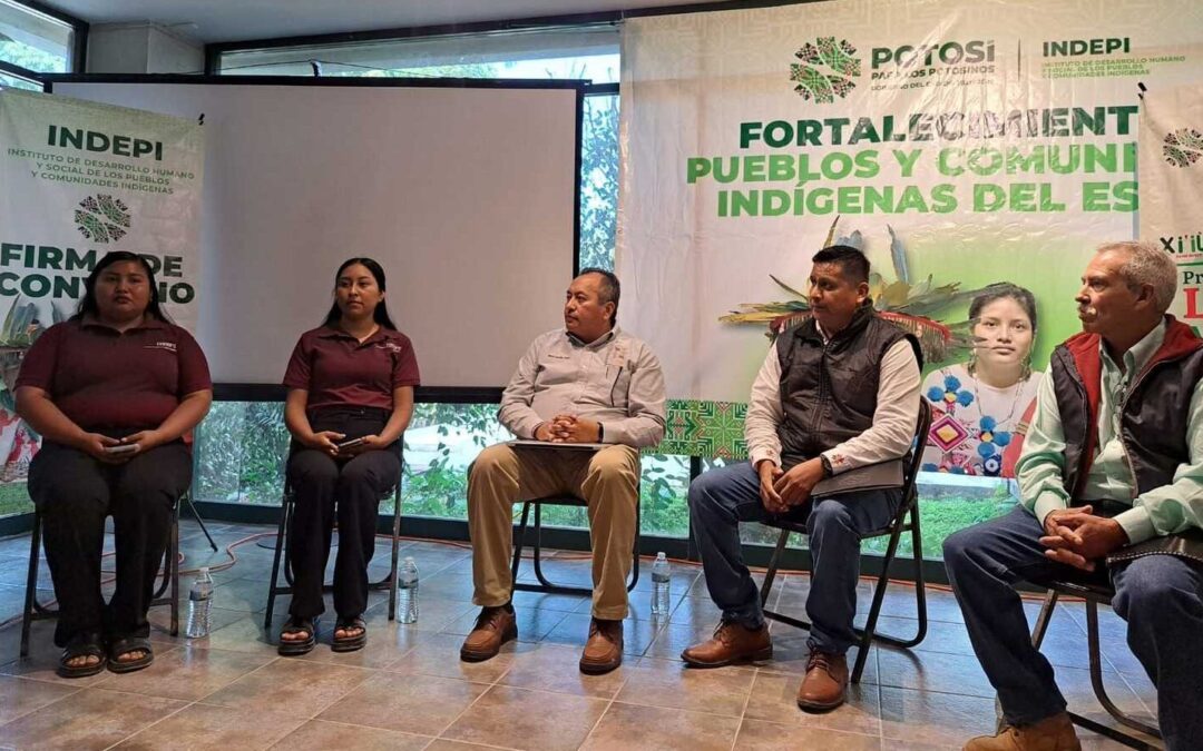 FORTALECERÁN ENSEÑANZA Y APRENDIZAJE DE LENGUAS MATERNAS EN SLP