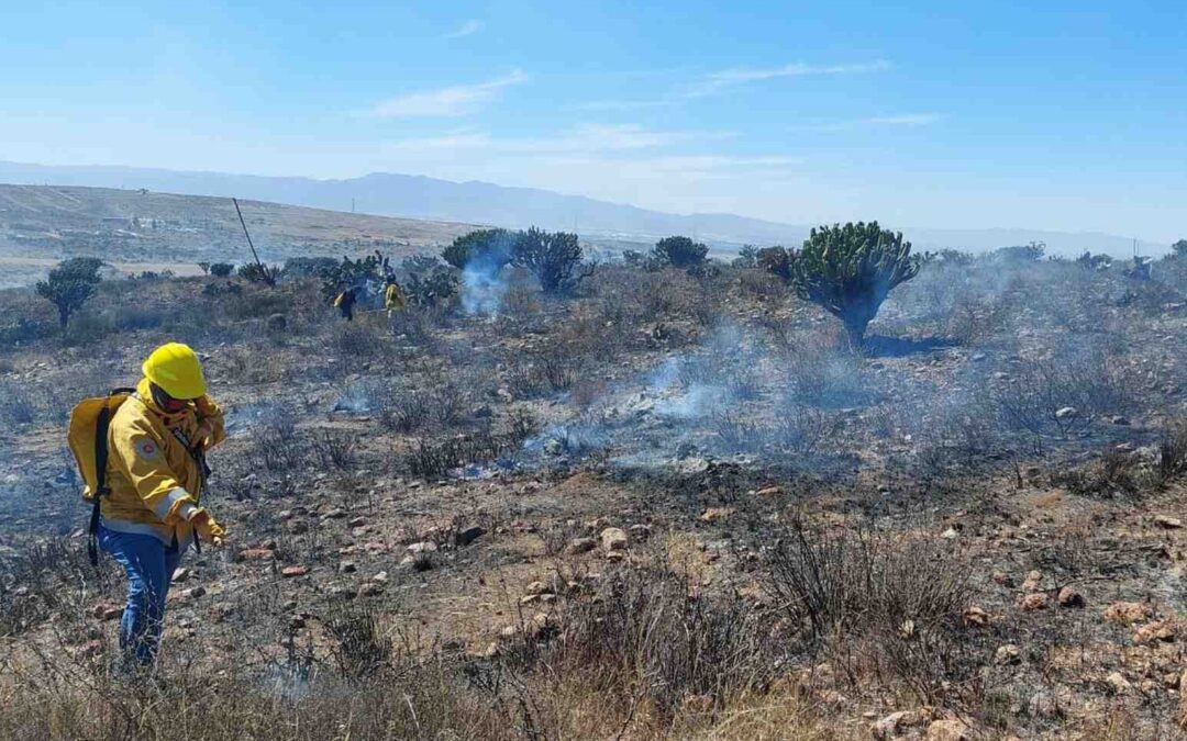 MANTENDRÁN VIGILANCIA PERMANENTE POR TEMPORADA DE INCENDIOS FORESTALES EN EL ESTADO