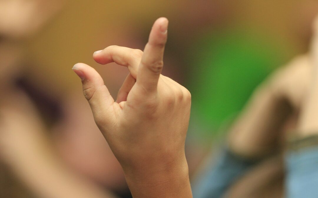 OFRECERÁN CURSO GRATUITO DE LENGUA DE SEÑAS EN EL ESTADO