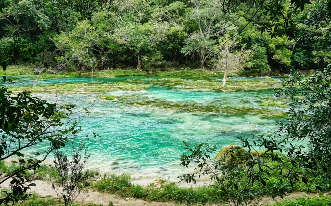 IMPLEMENTAN ACCIONES PARA SUMAR A LA PROTECCIÓN A ECOSISTEMAS DE SLP