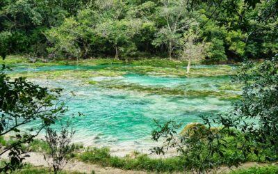 IMPLEMENTAN ACCIONES PARA SUMAR A LA PROTECCIÓN A ECOSISTEMAS DE SLP