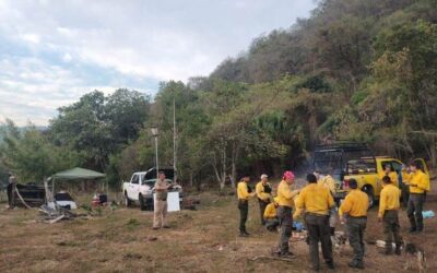CAPACITARÁN A COMBATIENTES FORESTALES DE SLP