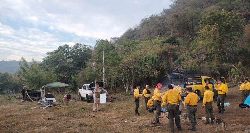 CAPACITARÁN A COMBATIENTES FORESTALES DE SLP