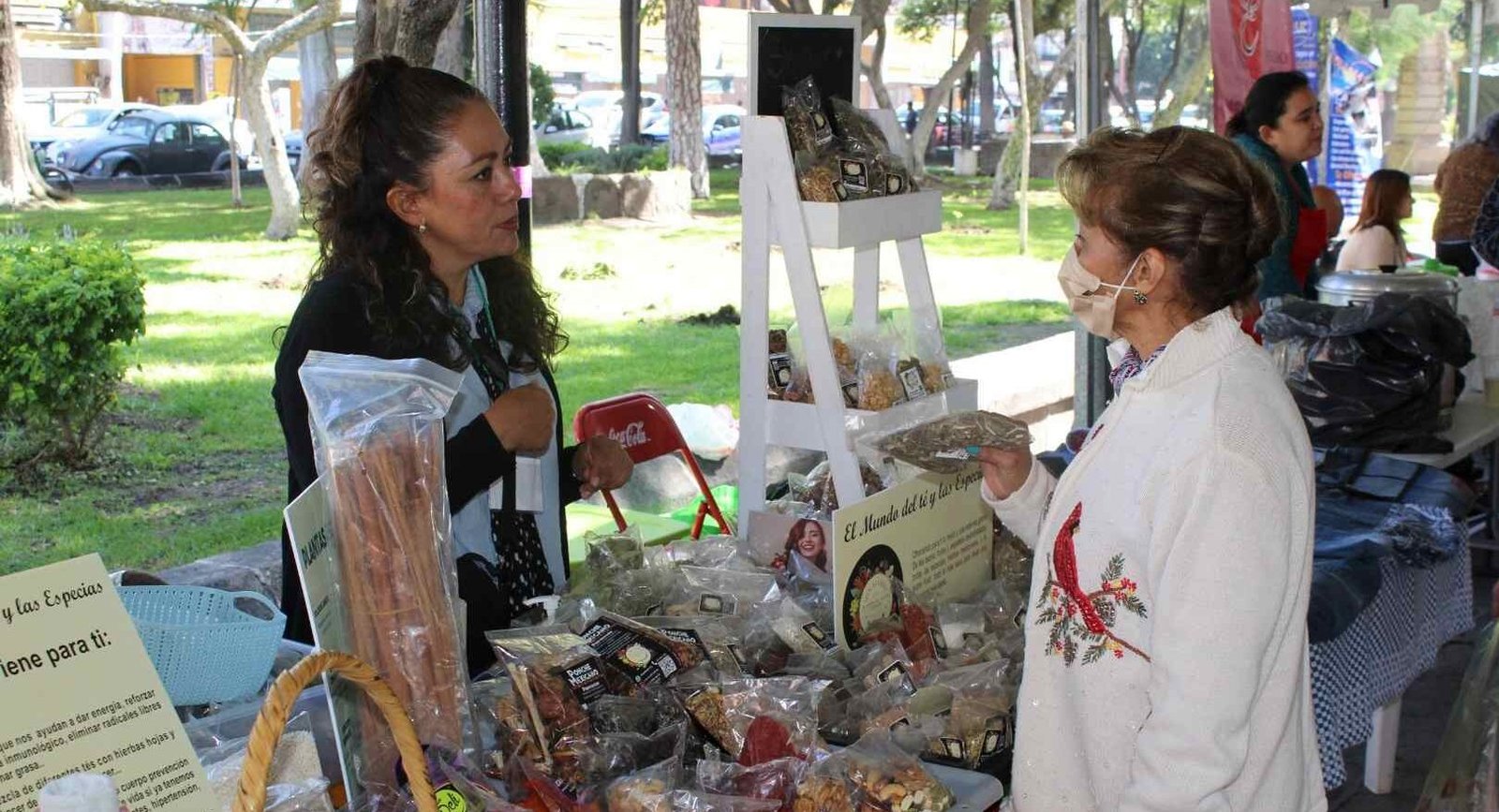 SE LLEVARÁ A CABO EXPO MUJER POTOSINA 2025