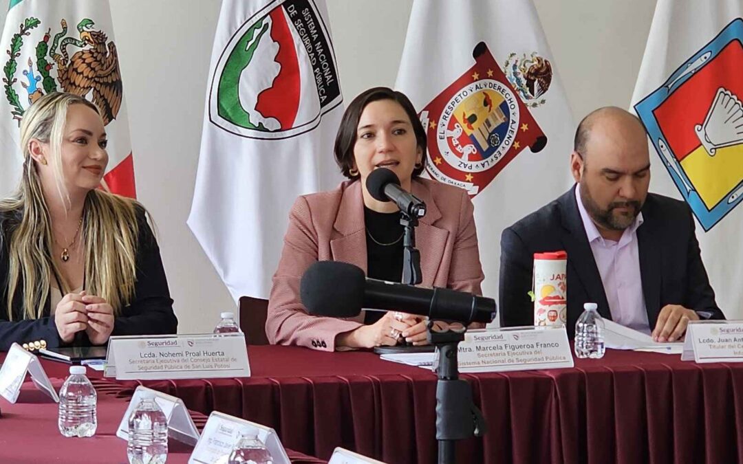 ESTADO VALIDA PROYECTOS DE SEGURIDAD ANTE LA FEDERACIÓN