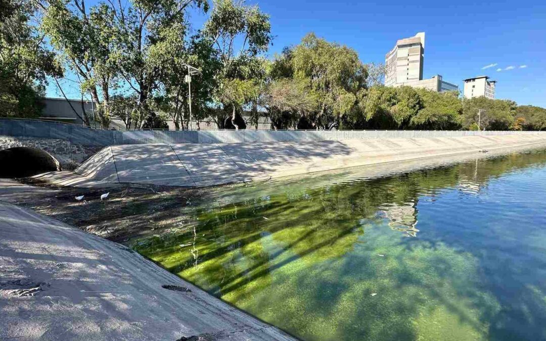 SLP REALIZA GESTIONES PARA RESOLVER CONTAMINACIÓN DEL LAGO MAYOR DEL PARQUE TANGAMANGA I
