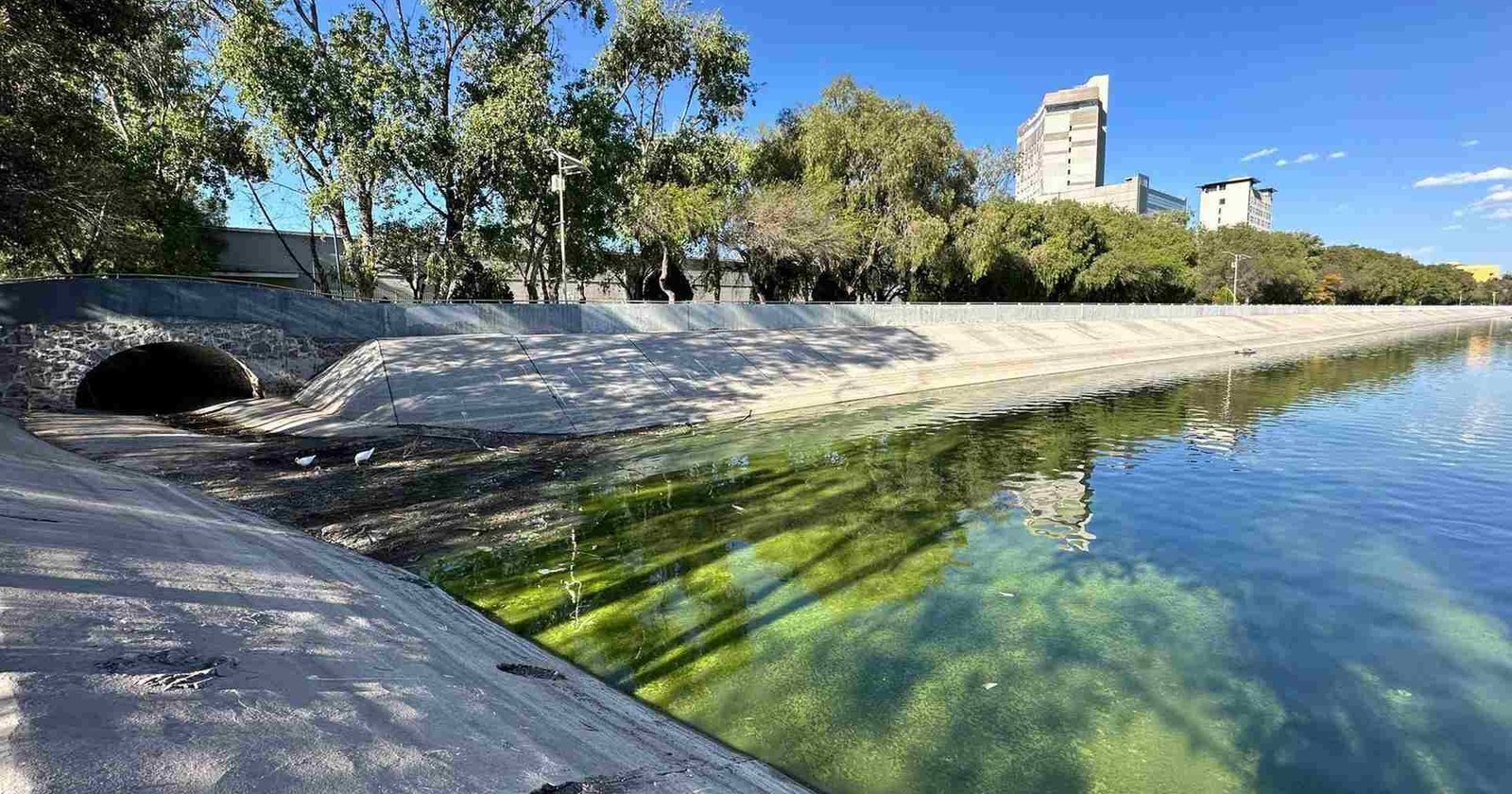 SLP REALIZA GESTIONES PARA RESOLVER CONTAMINACIÓN DEL LAGO MAYOR DEL PARQUE TANGAMANGA I