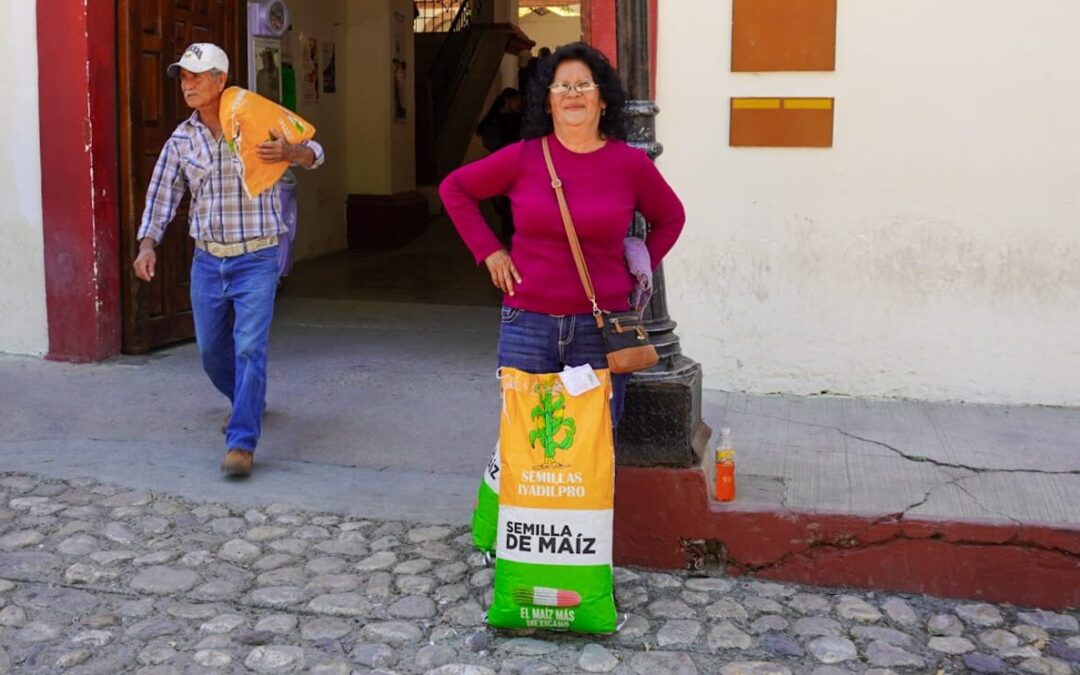 ENTREGAN SEMILLAS DE MAÍZ CERTIFICADA PARA PRODUCTORES AGRÍCOLAS DE CINCO MUNICIPIOS DEL SLP