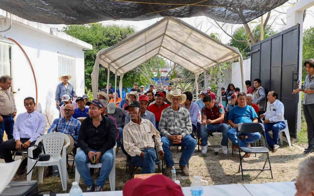 GOBIERNO ESTATAL ACERCA MÁS APOYO A LAS Y LOS APICULTORES POTOSINOS