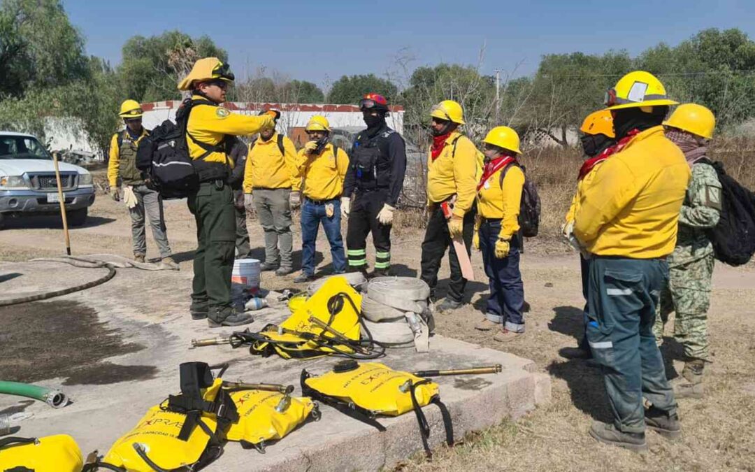 AVANZA CAPACITACIONES DE BRIGADISTAS FORESTALES DE SLP