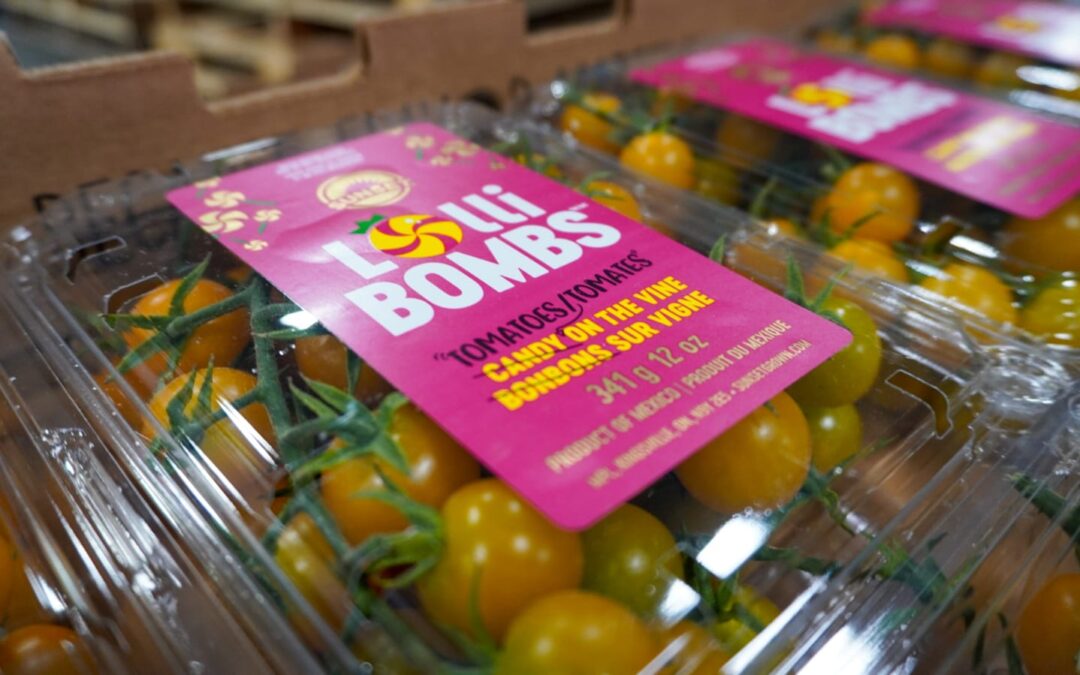 INVERNADERO SANTA RITA SE RECUPERA DE CRISIS: ESTADO