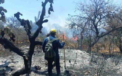 ESTADO INFORMÓ DE AVANCES EN EL COMBATE DE LOS INCENDIOS FORESTALES