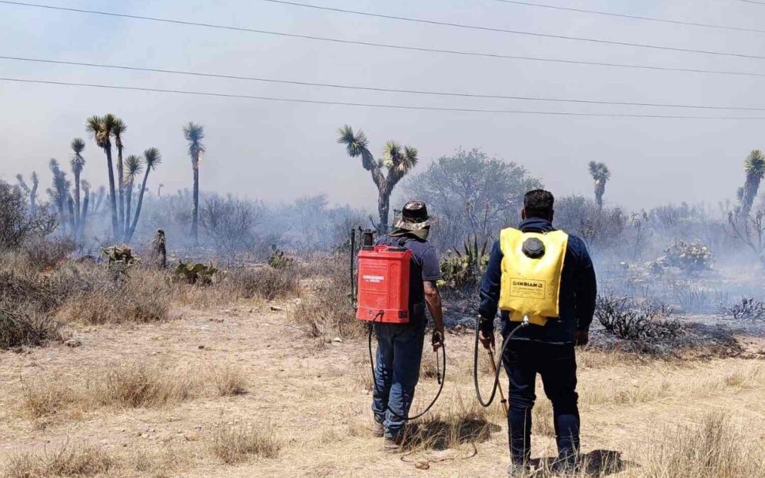 COMITÉ DE MANEJO DE FUEGO PROMUEVE CAMPAÑA DE RECOLECCIÓN DE VÍVERES