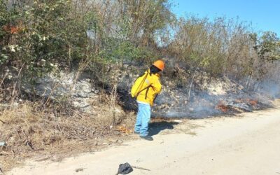 ESTADO PREPARA INICIATIVA CON PENAS MÁS SEVERAS A QUIENES PROVOQUEN INCENDIOS