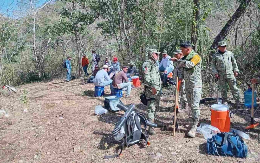 INFORMAN DE AVANCES EN EL COMBATE A INCENDIOS FORESTALES DEL ESTADO