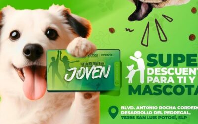 TARJETA JOVEN BRINDARÁ BENEFICIOS PARA MASCOTAS EN SLP