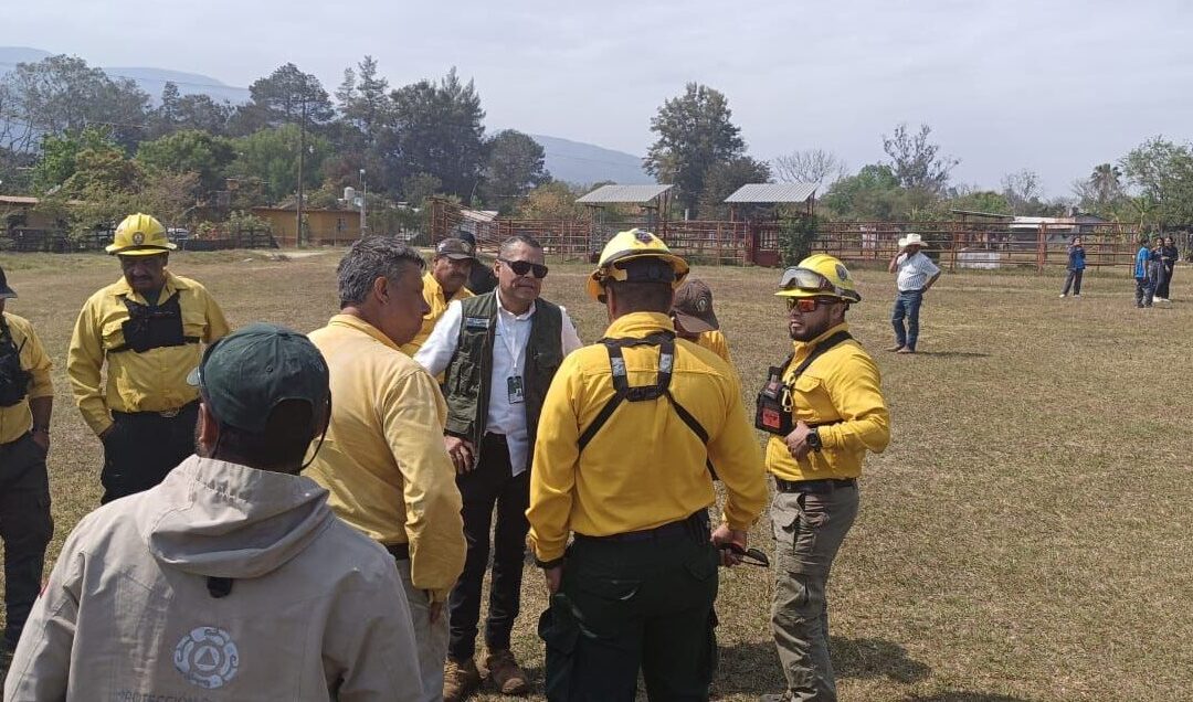 ESTADO REALIZÓ SOBREVUELOS EN INCENDIOS FORESTALES