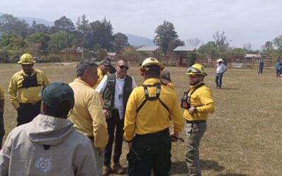 ESTADO REALIZÓ SOBREVUELOS EN INCENDIOS FORESTALES