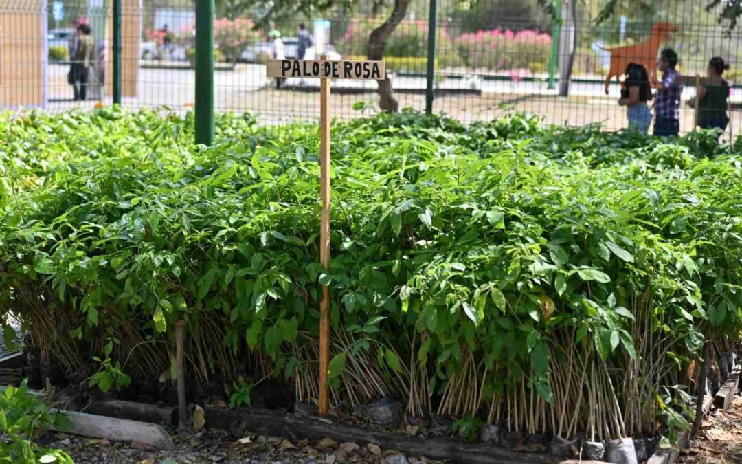 INICIA PROGRAMA ESTATAL DE REFORESTACIÓN