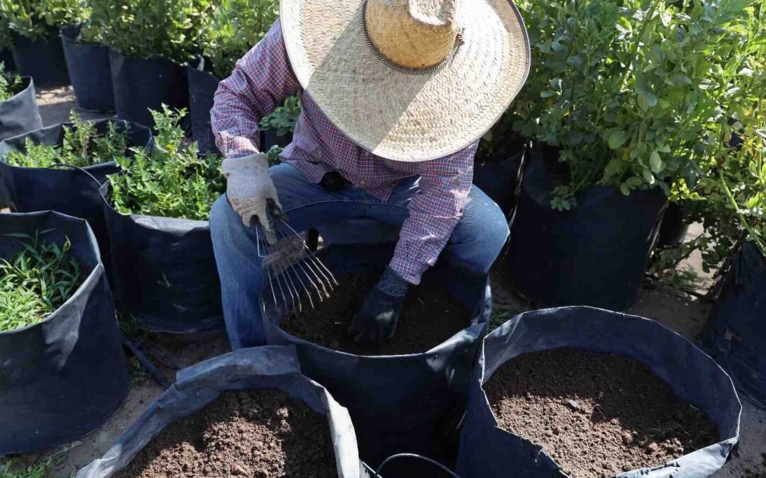 OFRECEN CAPACITACIONES PARA LA AUTOPRODUCCIÓN DE ALIMENTOS
