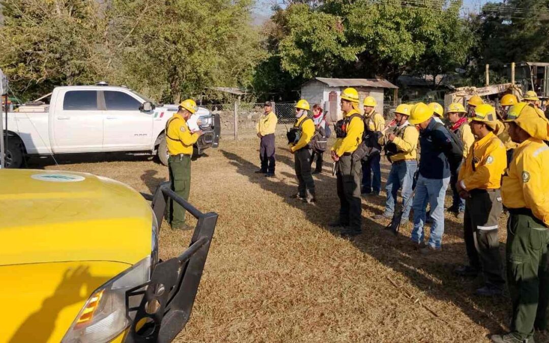AVANZA EL COMBATE DE INCENDIOS FORESTALES EN SLP
