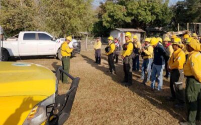 AVANZA EL COMBATE DE INCENDIOS FORESTALES EN SLP