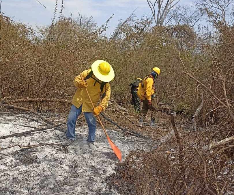 INFORMAN DE AVANCES EN EL COMBATE A INCENDIOS EN EL ESTADO