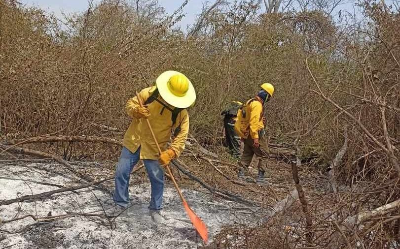 INFORMAN DE AVANCES EN EL COMBATE A INCENDIOS EN EL ESTADO