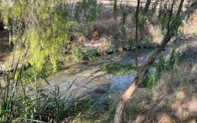 PLANTAS TRATADORAS DE AGUA DEL TANGAMANGA SON OPERADAS POR INTERAPAS: CEA