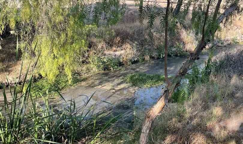 PLANTAS TRATADORAS DE AGUA DEL TANGAMANGA SON OPERADAS POR INTERAPAS: CEA