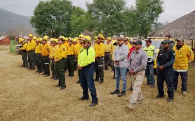 REPORTAN COMO CONTROLADOS Y LIQUIDADOS LOS INCENDIOS FORESTALES EN EL ESTADO