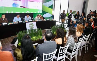 REALIZAN PRESENTACIÓN DE LA FENAE 2025 EN SOLEDAD