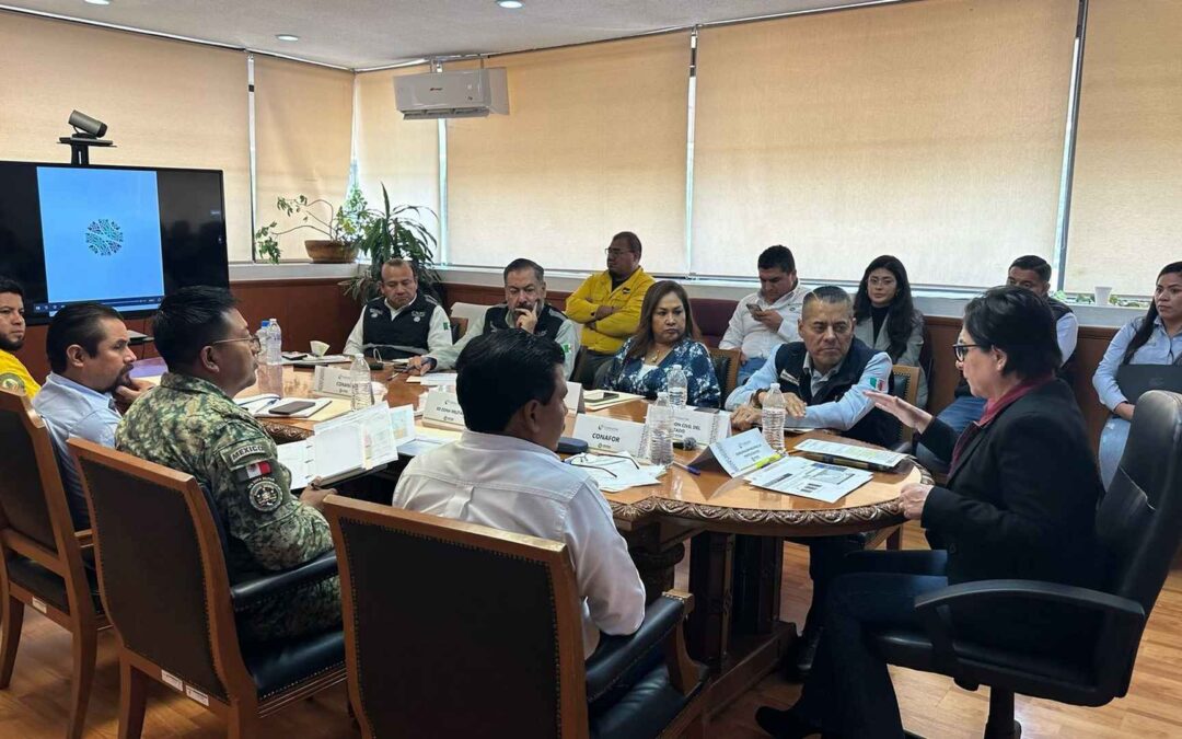 TITULAR NACIONAL DE PROTECCIÓN CIVIL SE REÚNE CON EL COMITÉ ESTATAL DE MANEJO DEL FUEGO