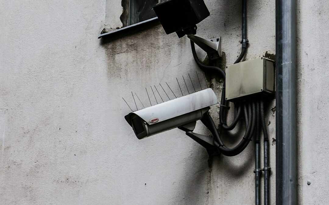 PROYECTAN CREACIÓN DE LEY CONTRA HALCONEO EN EL ESTADO