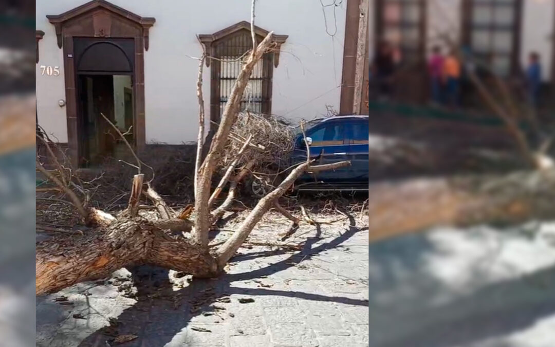 FUERTES VIENTOS Y HASTA 45°C EN REGIONES DE SAN LUIS POTOSÍ