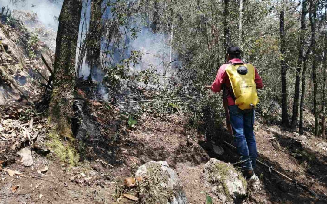 CONTINÚA COMBATE A INCENDIOS FORESTALES EN EL ESTADO