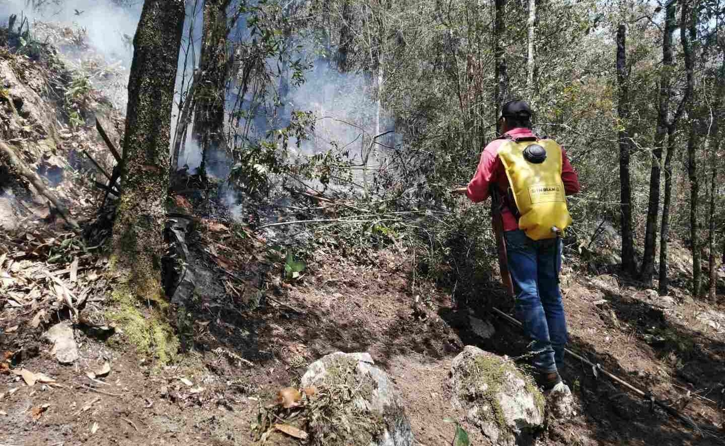 CONTINÚA COMBATE A INCENDIOS FORESTALES EN EL ESTADO
